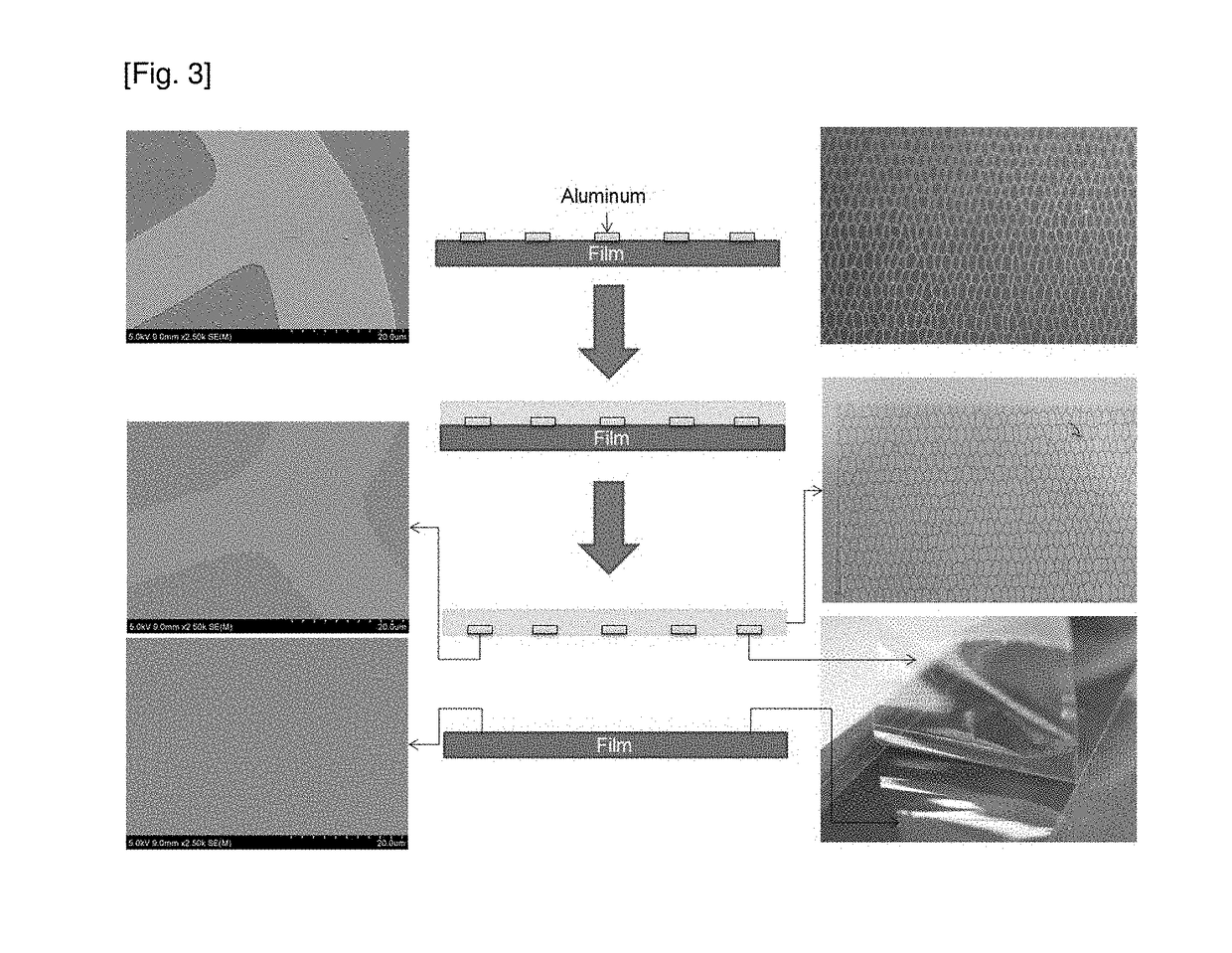 Method for fabricating flexible substrate