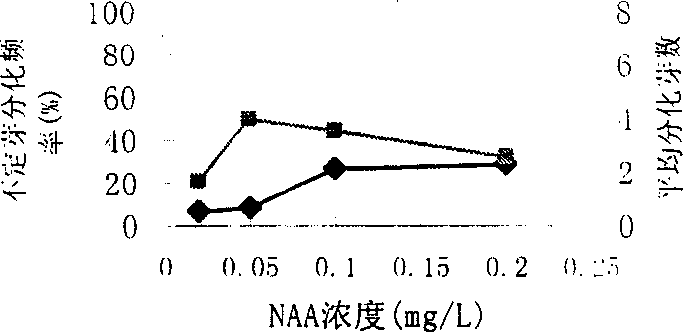 Gene transfer method of agrobacterium of poplar