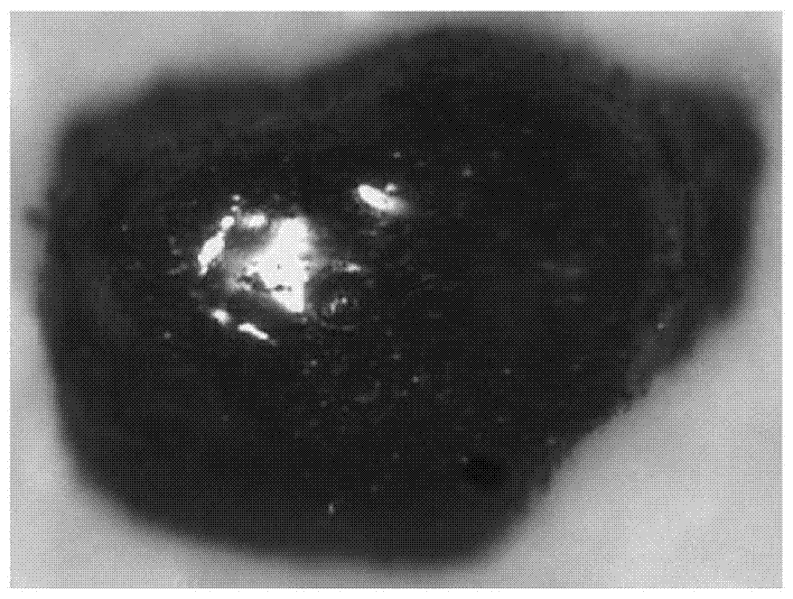 Graphene/organic-matter composite particles and preparation method thereof