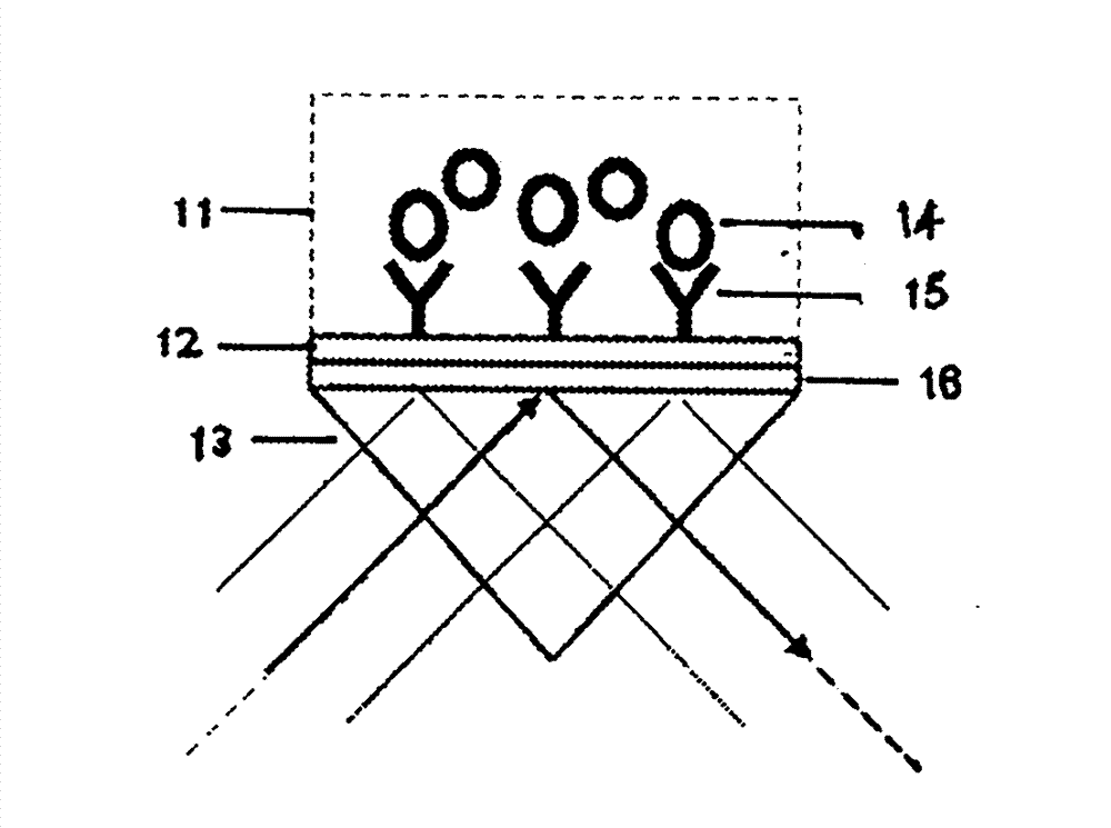 Phase measurement method of variable exposure time imaging phase shift