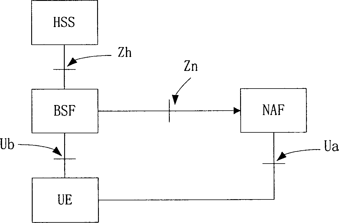 Method for realizing safety communication between user equipment and network service application entity