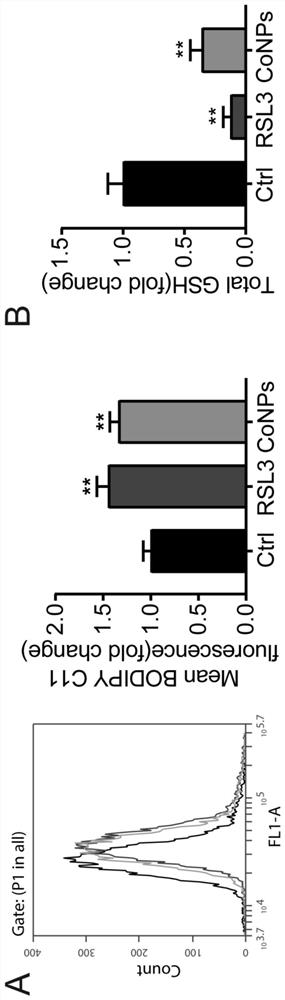 Application of Ferrostatin-1 in preparation of medicine for resisting periprosthetic osteolysis induced by wear particles of joint prosthesis