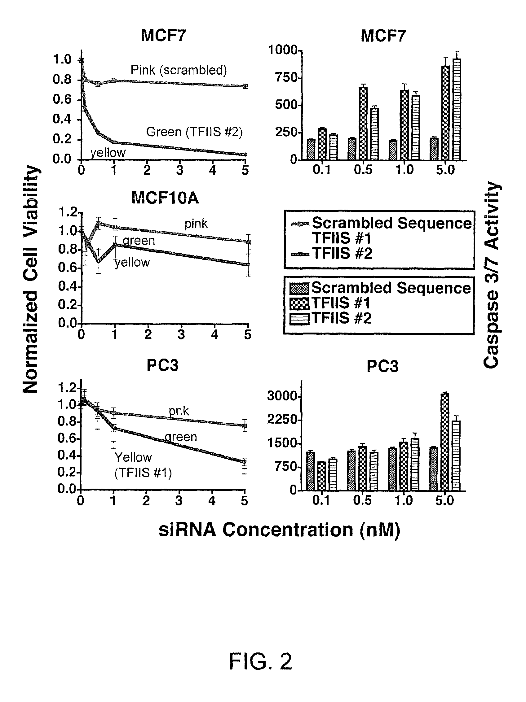 TFIIS and GDOWN1 as targets for cancer therapy