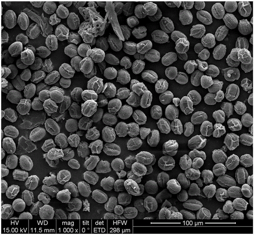 Application of porous cobaltosic oxide