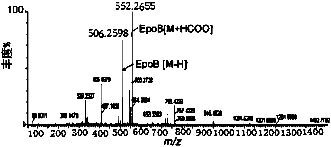 Method for measuring epothilone B