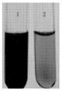 Acquisition and application of a ginseng growth-promoting bacterium producing acc deaminase