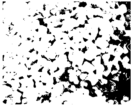 Preparation method of nano lithium iron phosphate/carbon porous anode material with high-rate performance