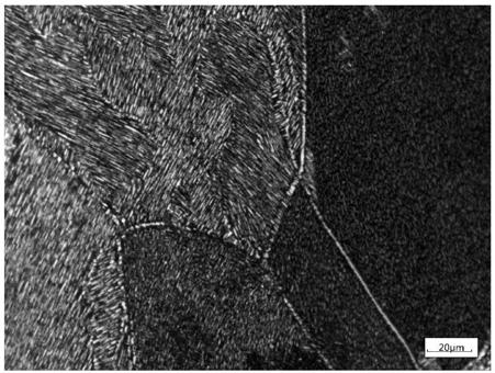 Prediction method for titanium alloy die forging part basket-weave microstructure distribution