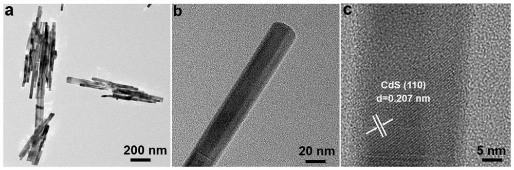 Preparation method of tungsten disulfide nanosheet modified cadmium sulfide photocatalyst