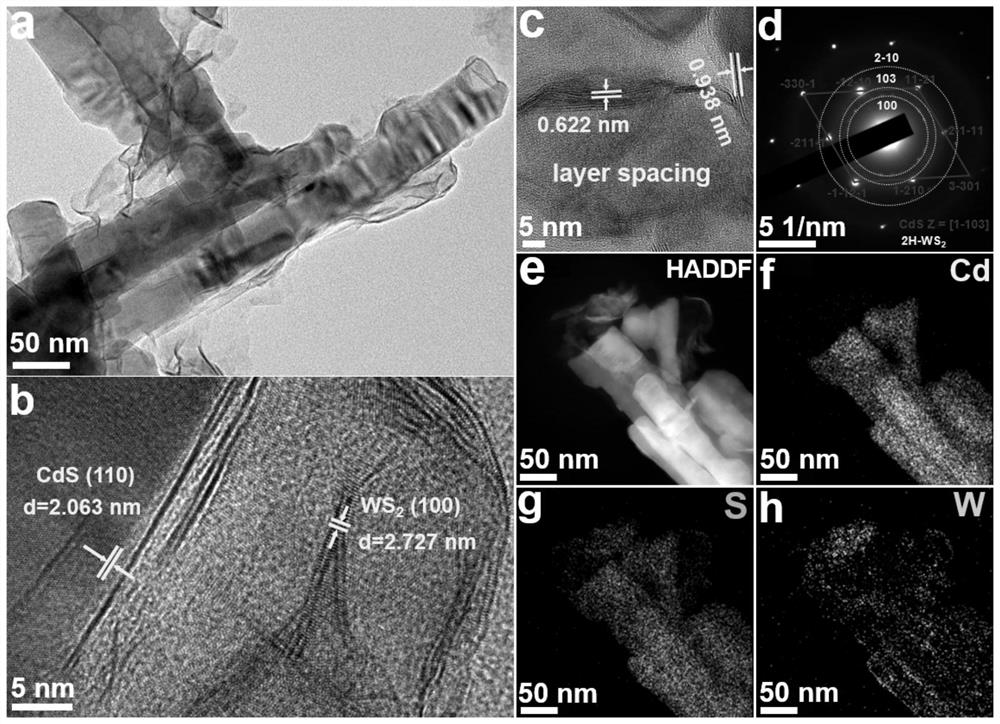 Preparation method of tungsten disulfide nanosheet modified cadmium sulfide photocatalyst