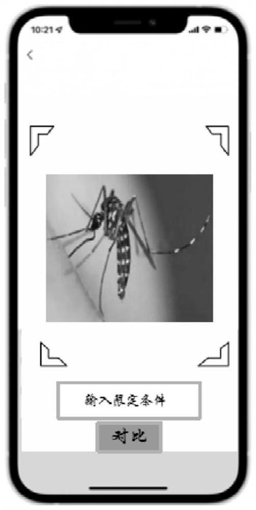 Vector biological recognition APP design method based on image recognition