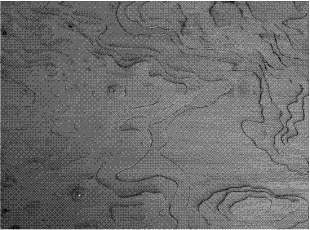 Production process of scientific wood veneer