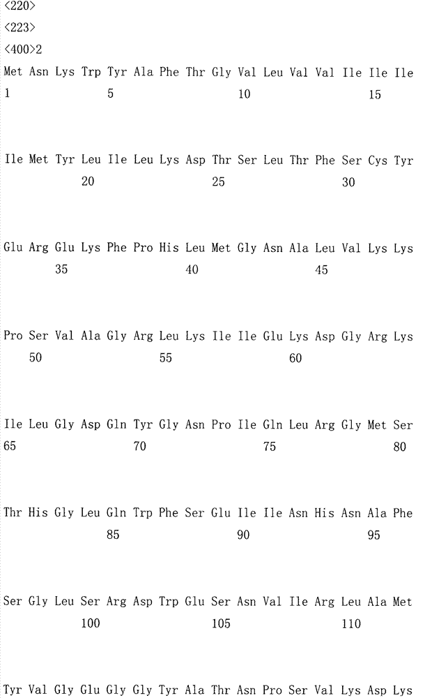 Mutant of endoglucanase, coding gene and application thereof