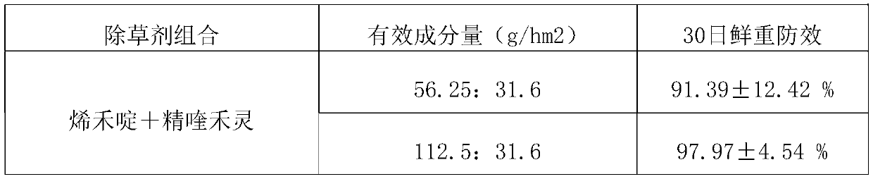 Method for controlling spread of achnatherum splendens T.