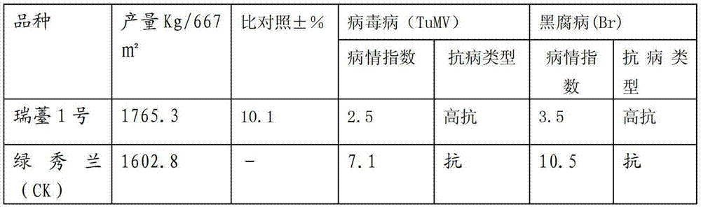 Breeding method of early-ripe and disease-resistant broccolini