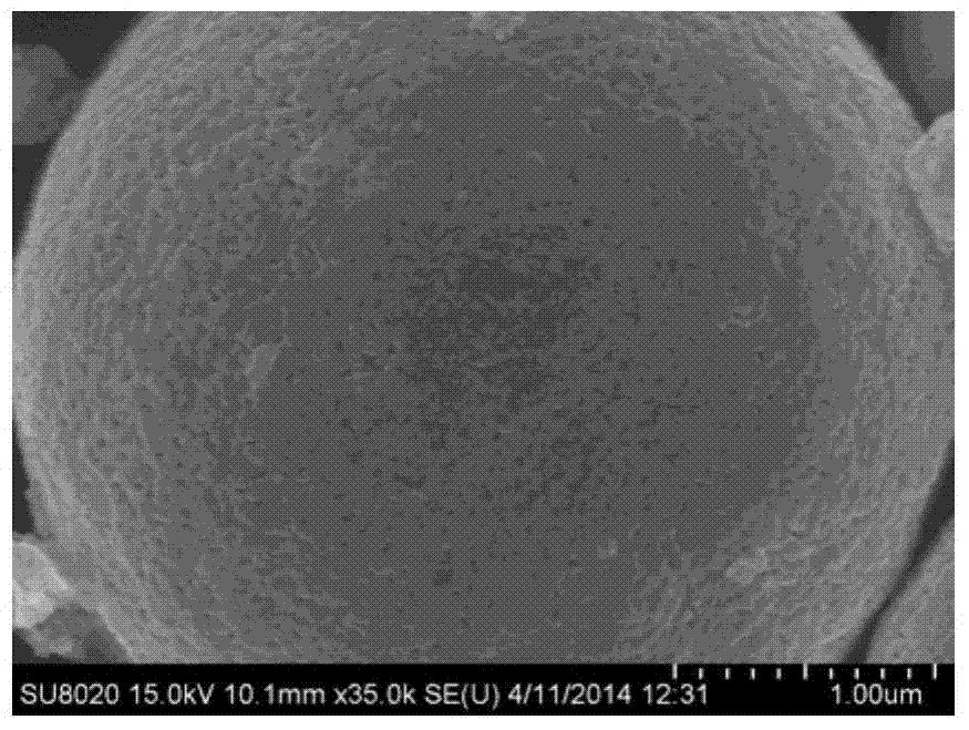 Porous spherical tungsten rhenium alloy powder and preparation method thereof