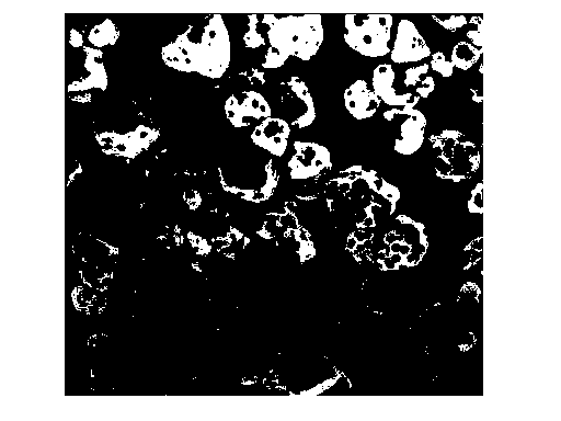 Water-soluble phosphate rock powder and preparation method thereof