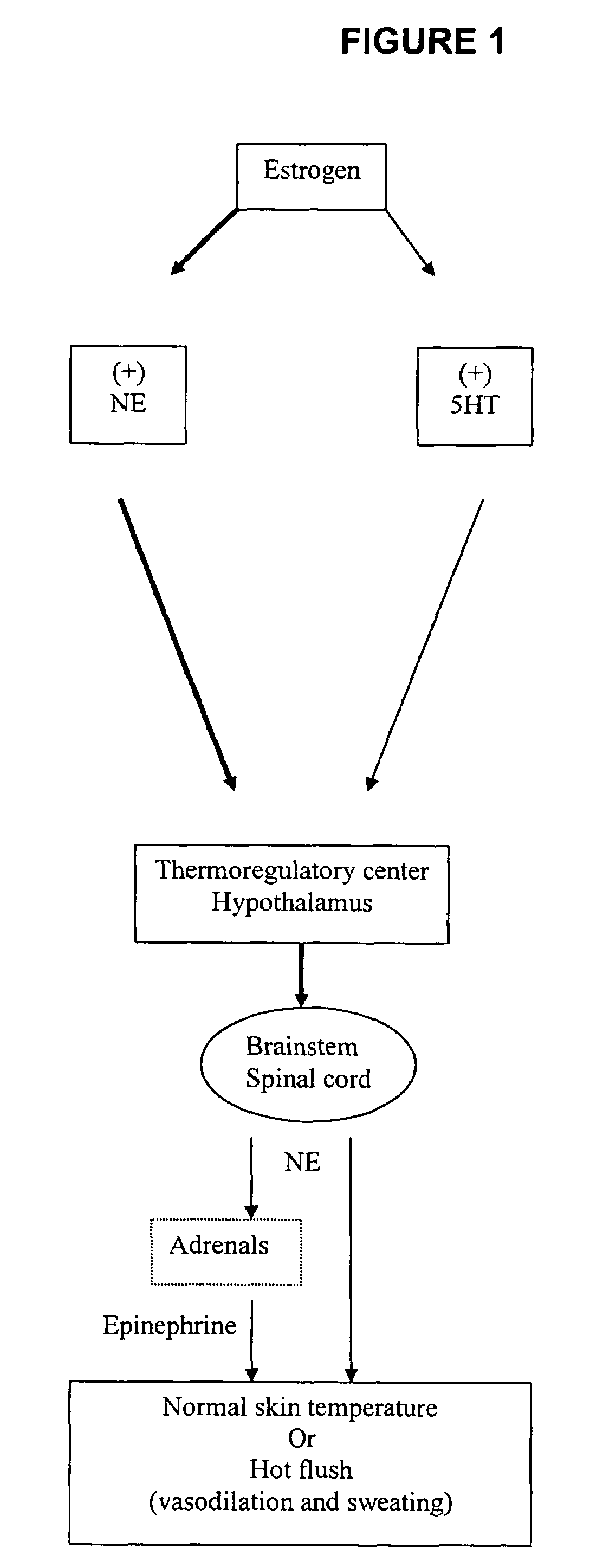 Phenylaminopropanol derivatives and methods of their use