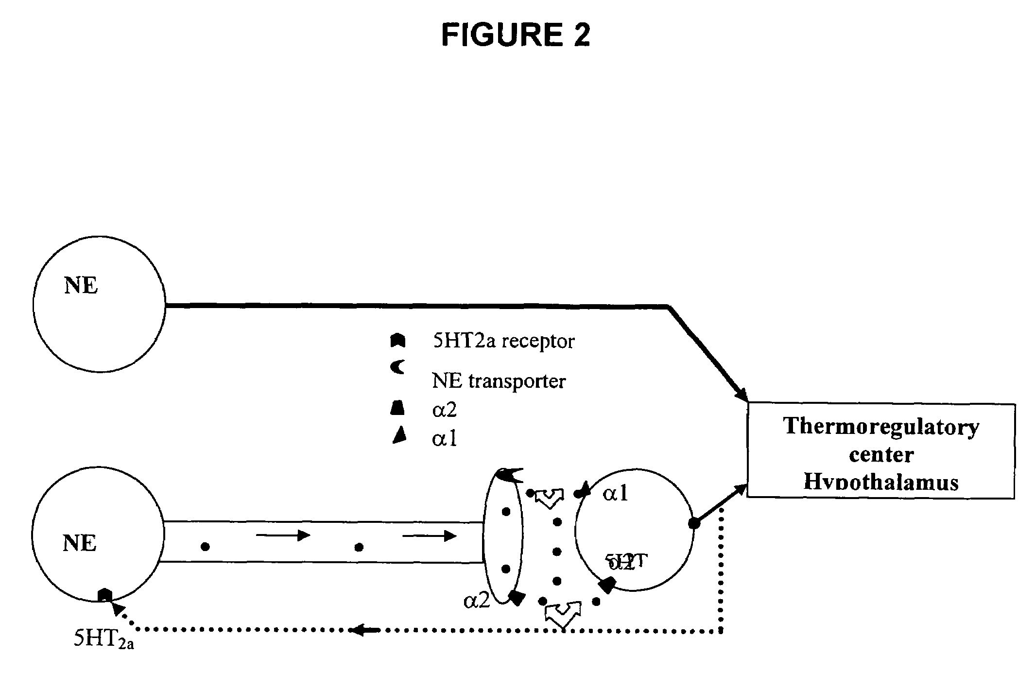 Phenylaminopropanol derivatives and methods of their use