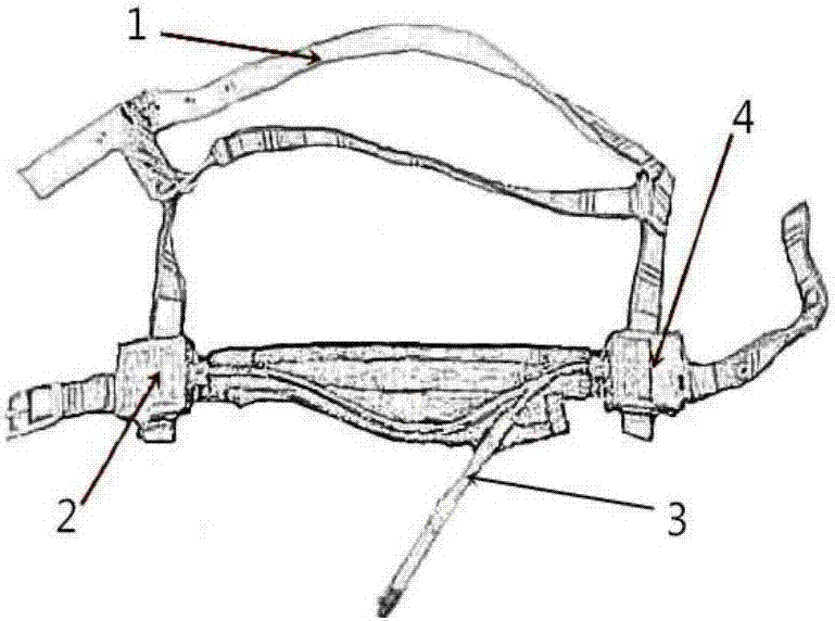 Rumination recognition method based on nosepiece pressure change of ruminant