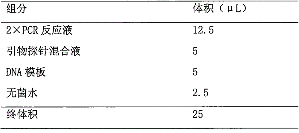 KRAS gene mutation detection kit and application thereof