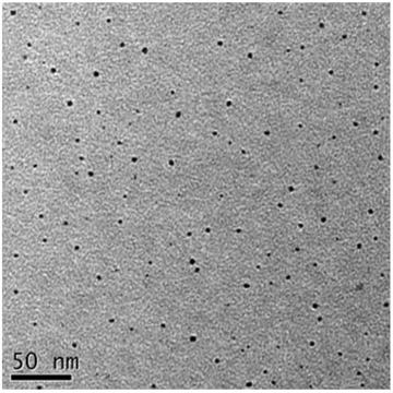 Ultra-long-life room temperature phosphorescent material and preparation method and application thereof