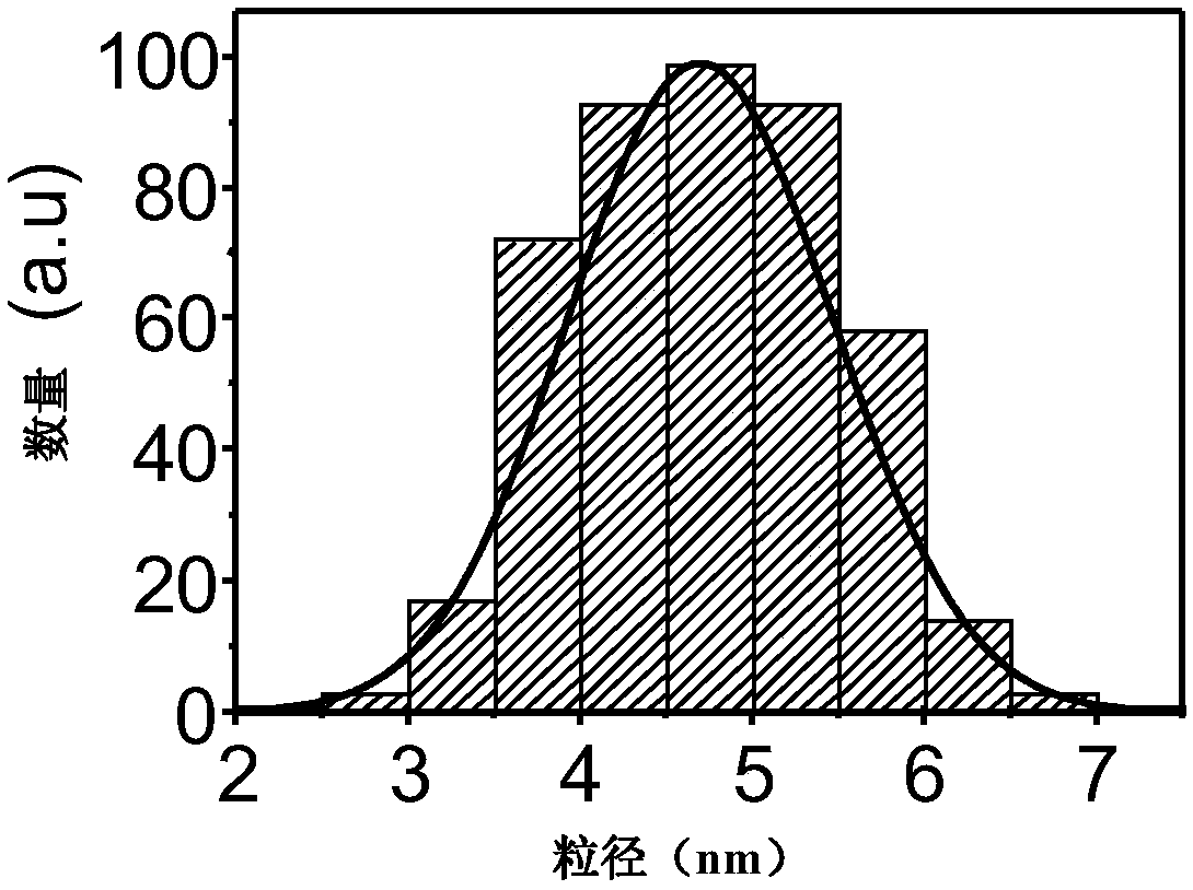 Ultra-long-life room temperature phosphorescent material and preparation method and application thereof