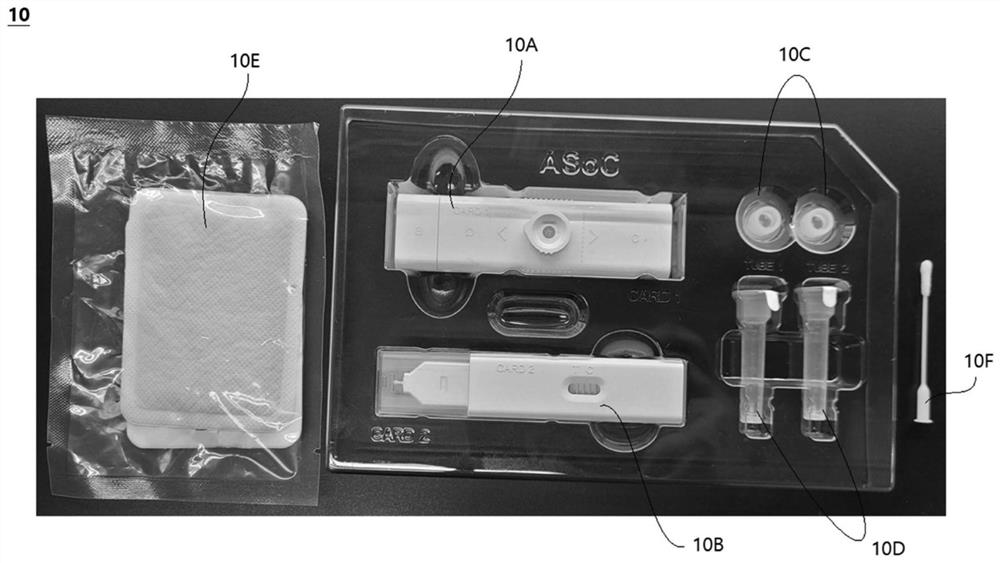 Integrated kit for in-situ molecular diagnosis and molecular diagnosis method using same