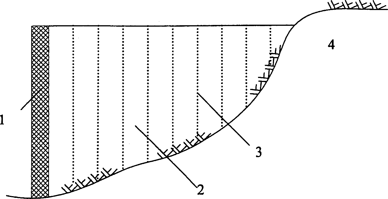 Cosolidation with sludge dredging and water draining