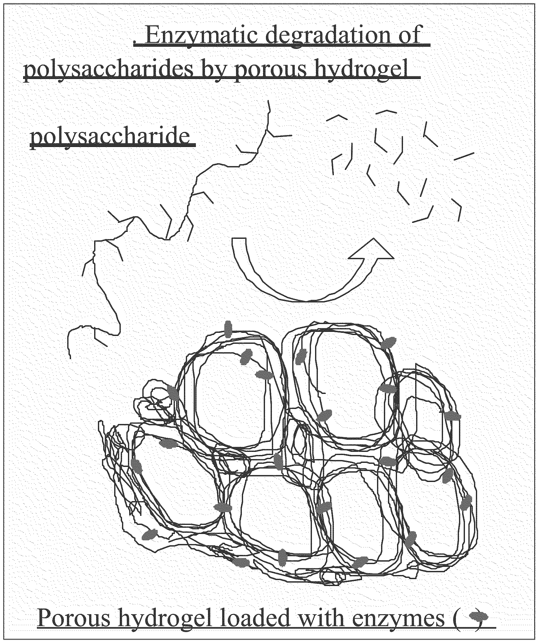 Non-amphiphile-based water-in-water emulsion and uses thereof