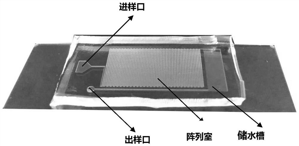 Digital micro-fluidic chip device for nucleic acid detection and use method