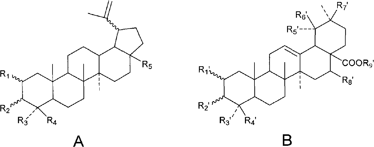 Pentacyclic triterpenoid compound and application of plant extract containing same