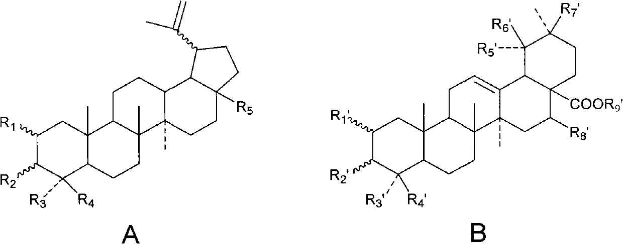 Pentacyclic triterpenoid compound and application of plant extract containing same