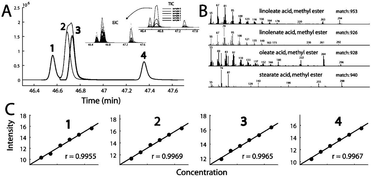 Method for realizing accurate identifying of compound and screening of differential component through automatic analysis of complicated sample GC-MS