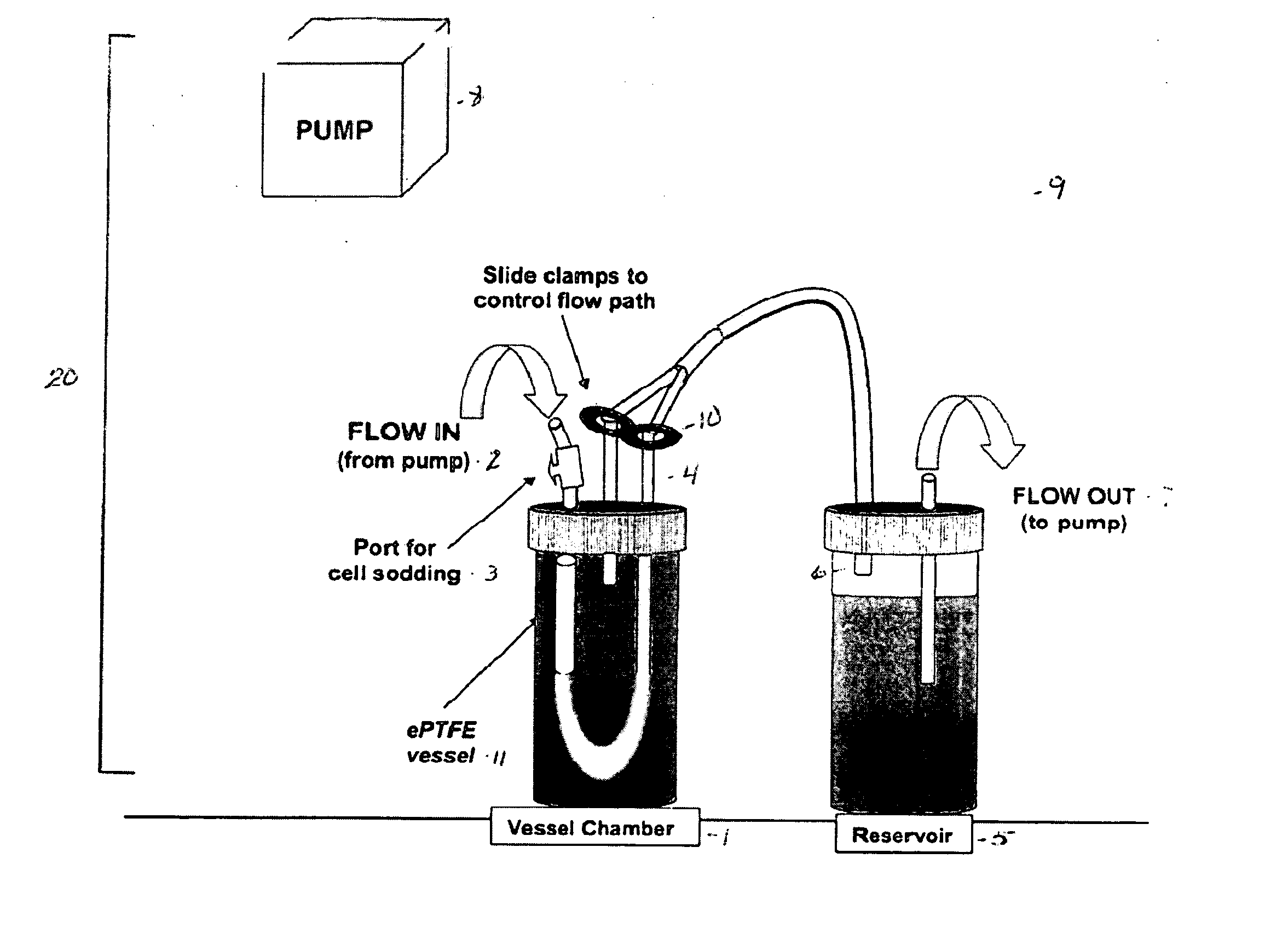 Vascular mimic for drug and device evaluation