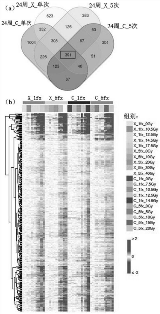 Radiation-sensitive gene markers and their application in different types of radiation dose monitoring