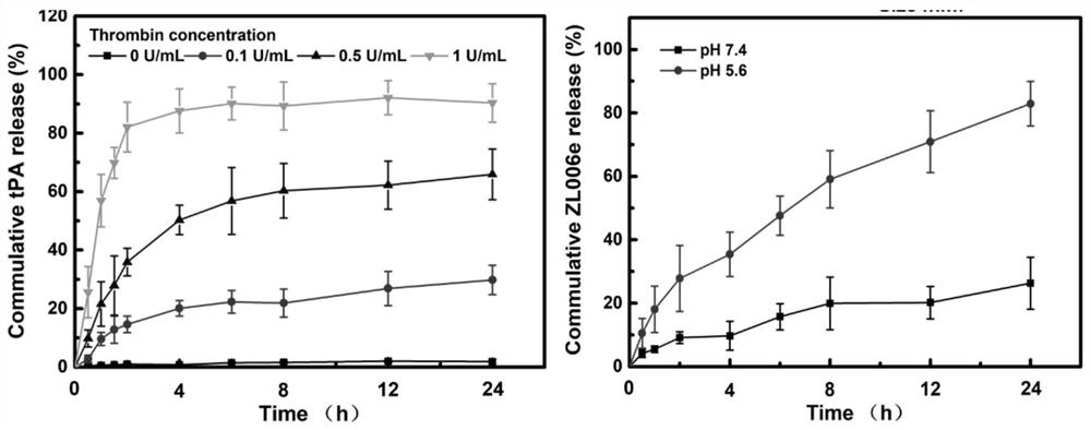 A functional platelet bionic smart carrier and its application in anti-ischemic stroke