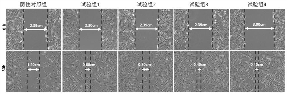 External additive, application thereof and skin external product