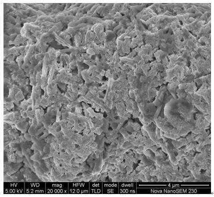 a crystalline state  <sub>3</sub> ocl inorganic lithium ion conductor and its preparation method and application