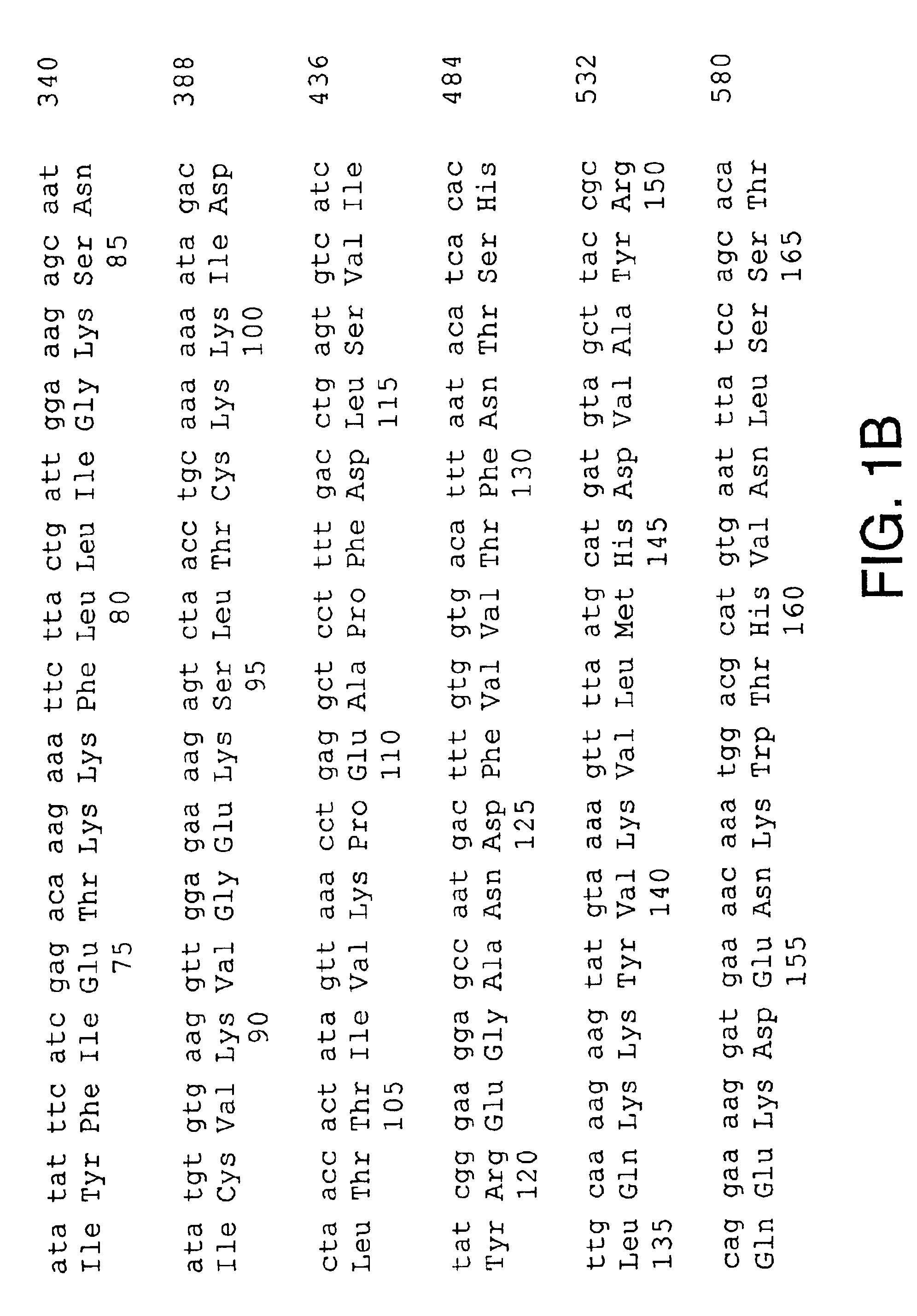 Nucleic acids encoding a cytokine receptor complex