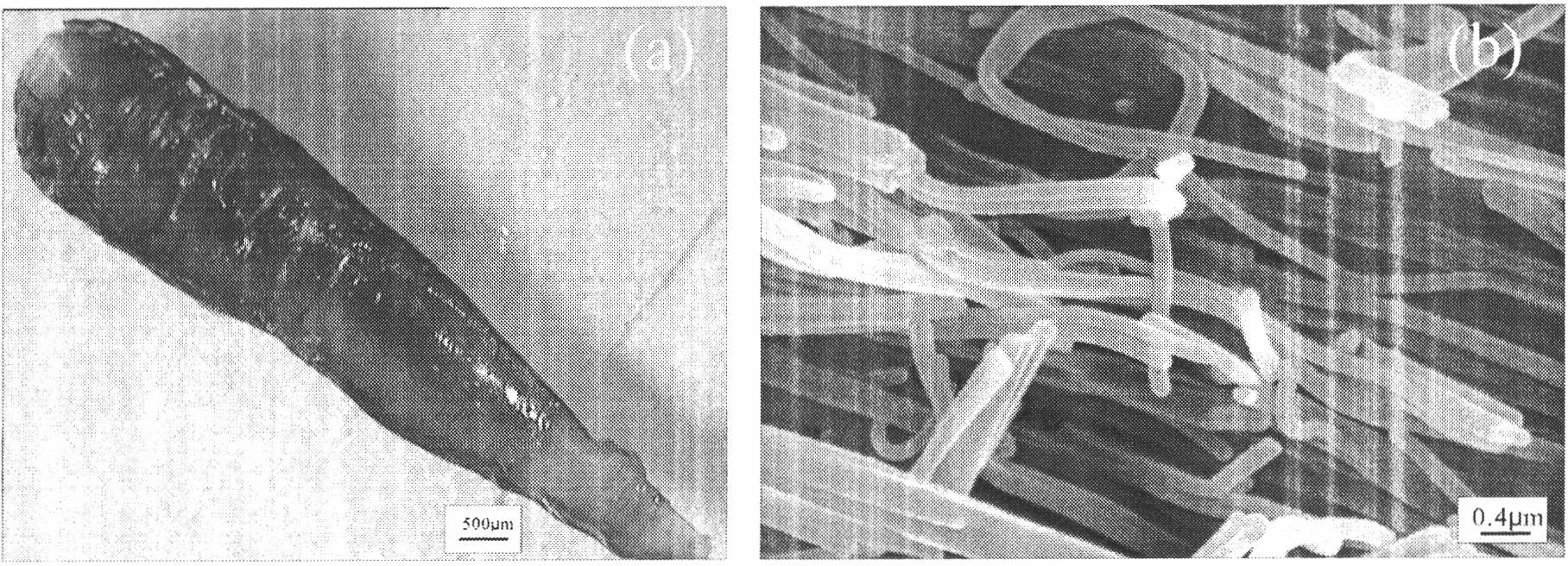 Method for synthesizing aragonite nanorod under conditions of normal pressure and temperature