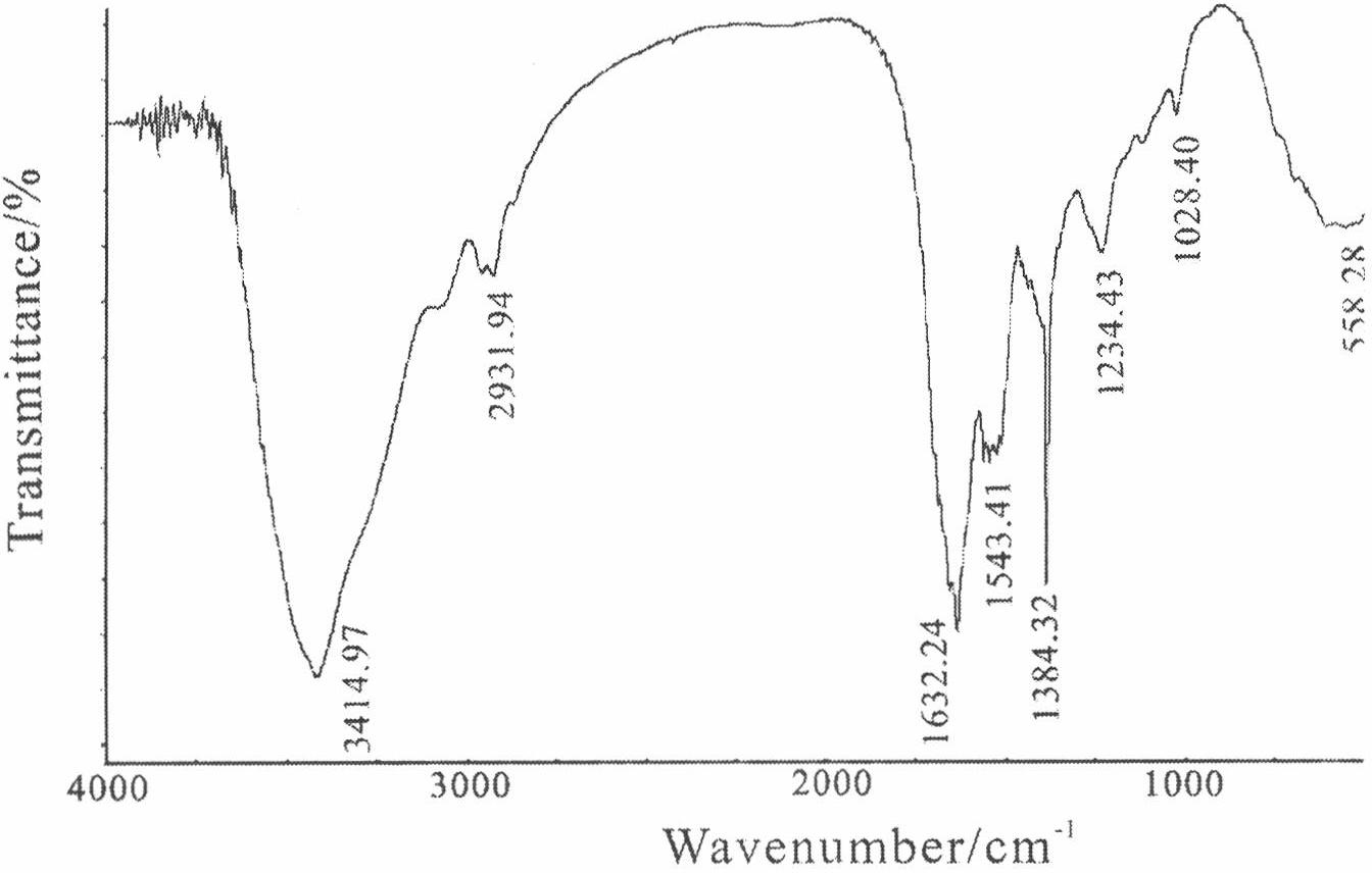 Method for synthesizing aragonite nanorod under conditions of normal pressure and temperature