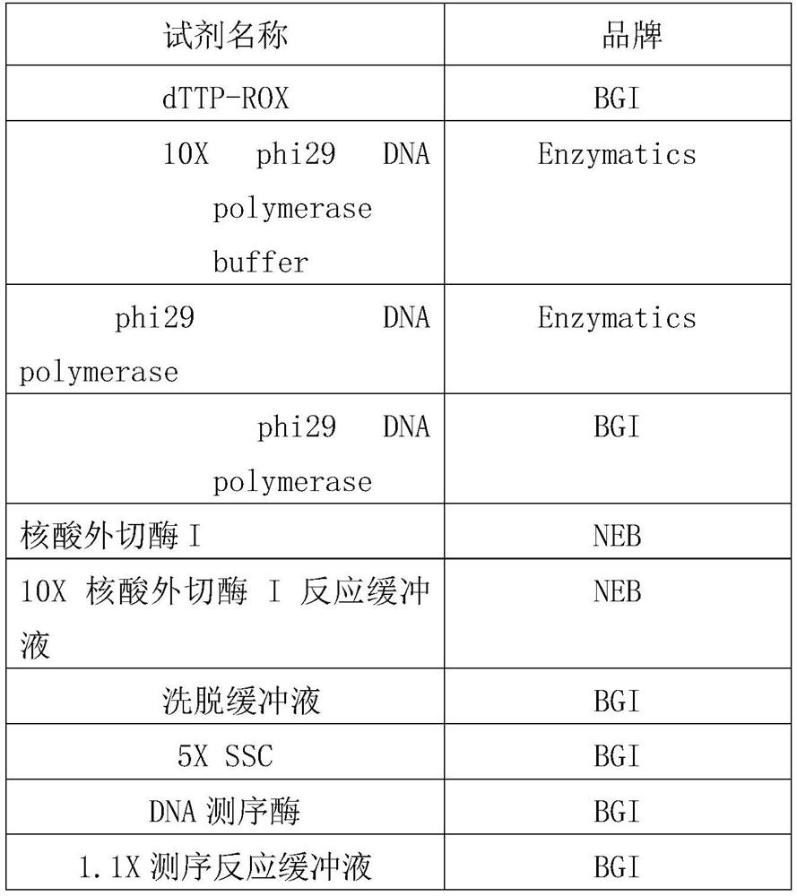 A method and kit for detecting the 3'-5' exo-cutting activity of nucleases on specific bases