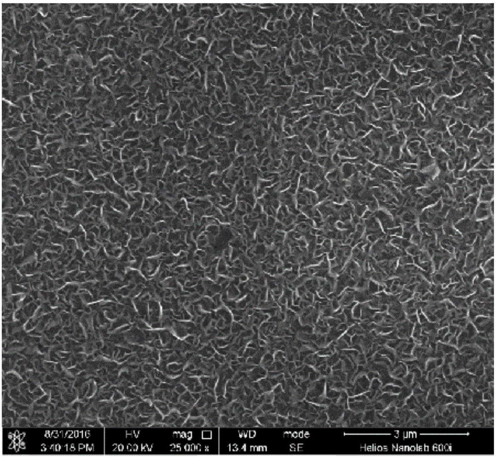 Preparation method of graphene anticorrosive coating on stainless steel surface