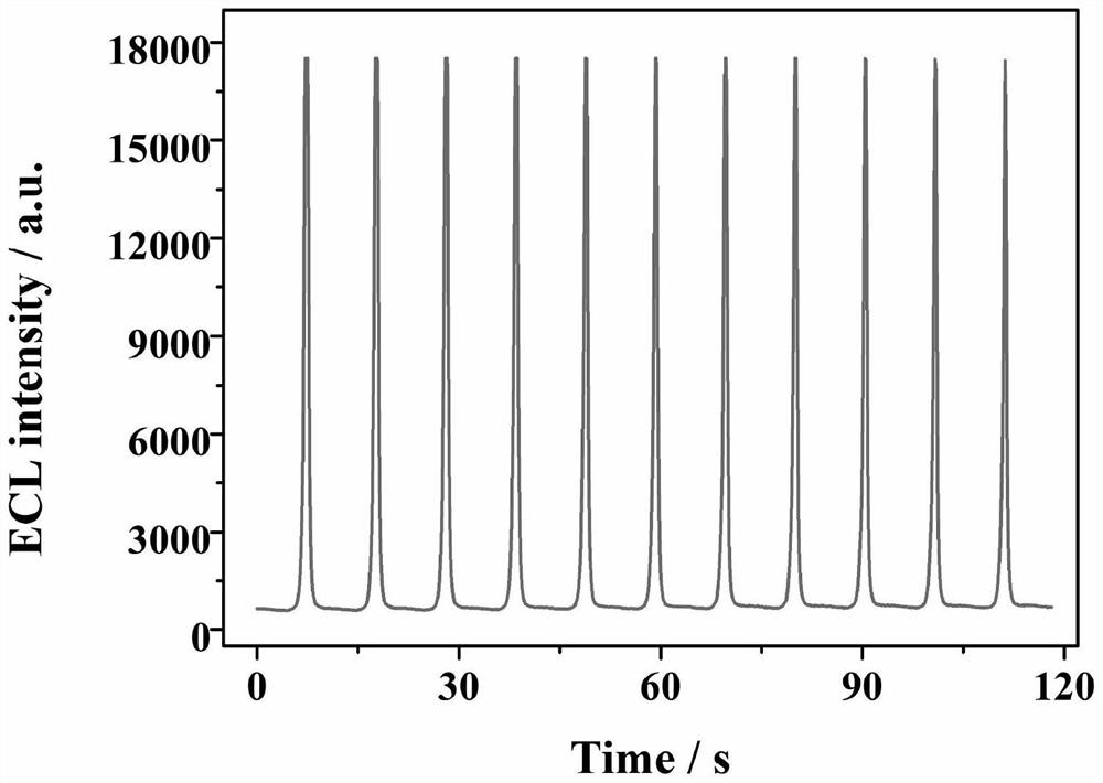 Electrochemiluminescence sensor for detecting hepatitis B virus DNA and preparation and application thereof