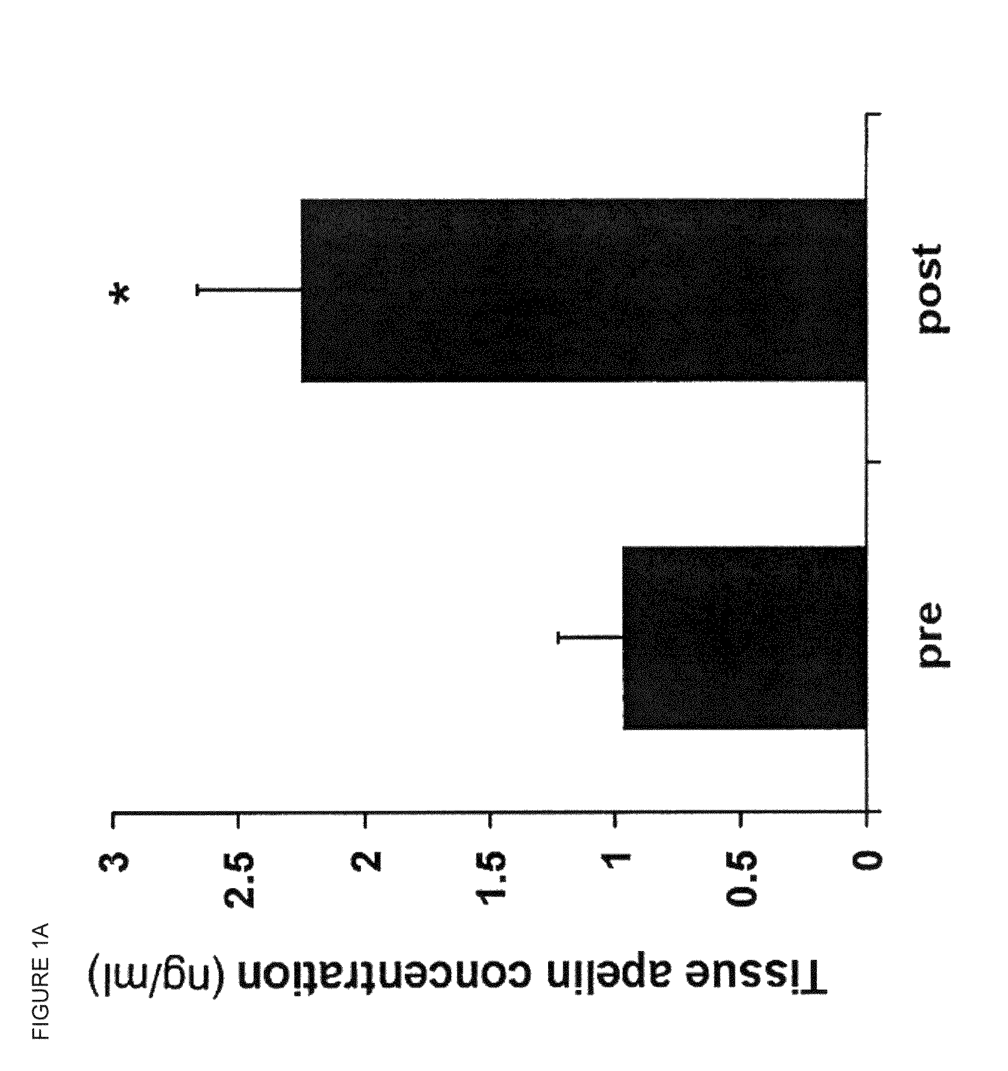 Apelin and uses thereof