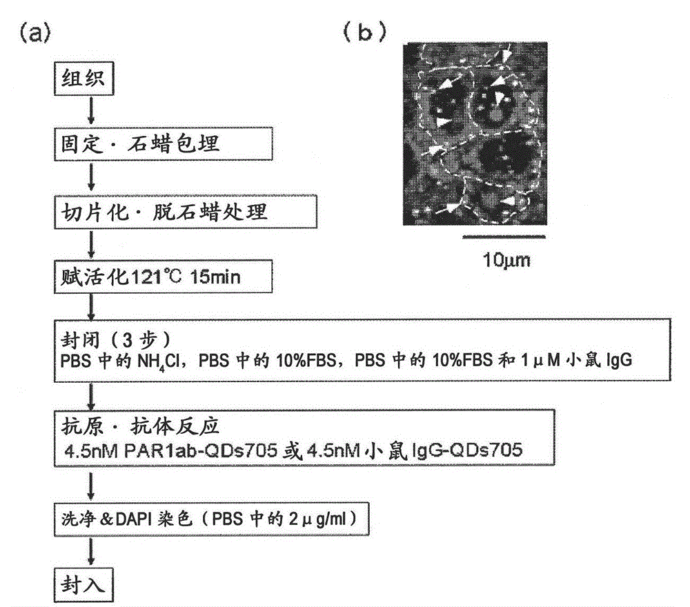 Methods for Determining Cancer Incidence or Risk of Cancer Incidence