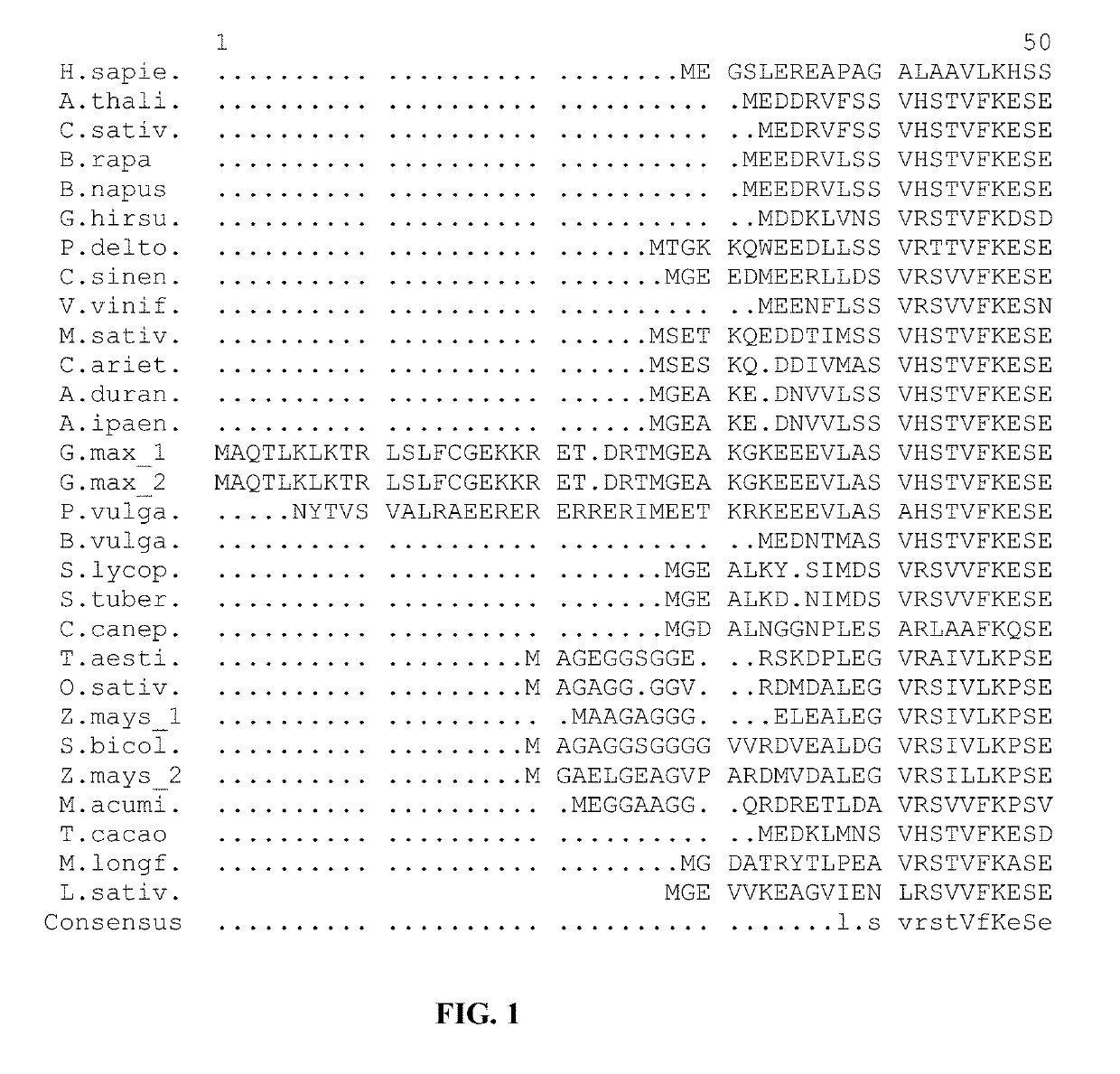 Plants With Modified DHS Genes