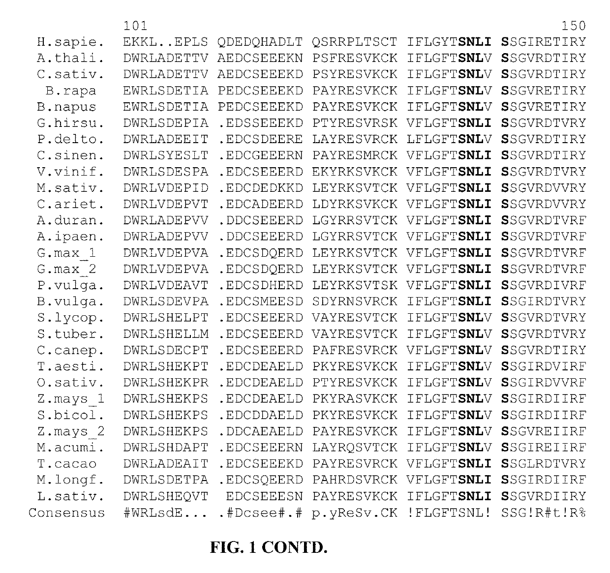 Plants With Modified DHS Genes