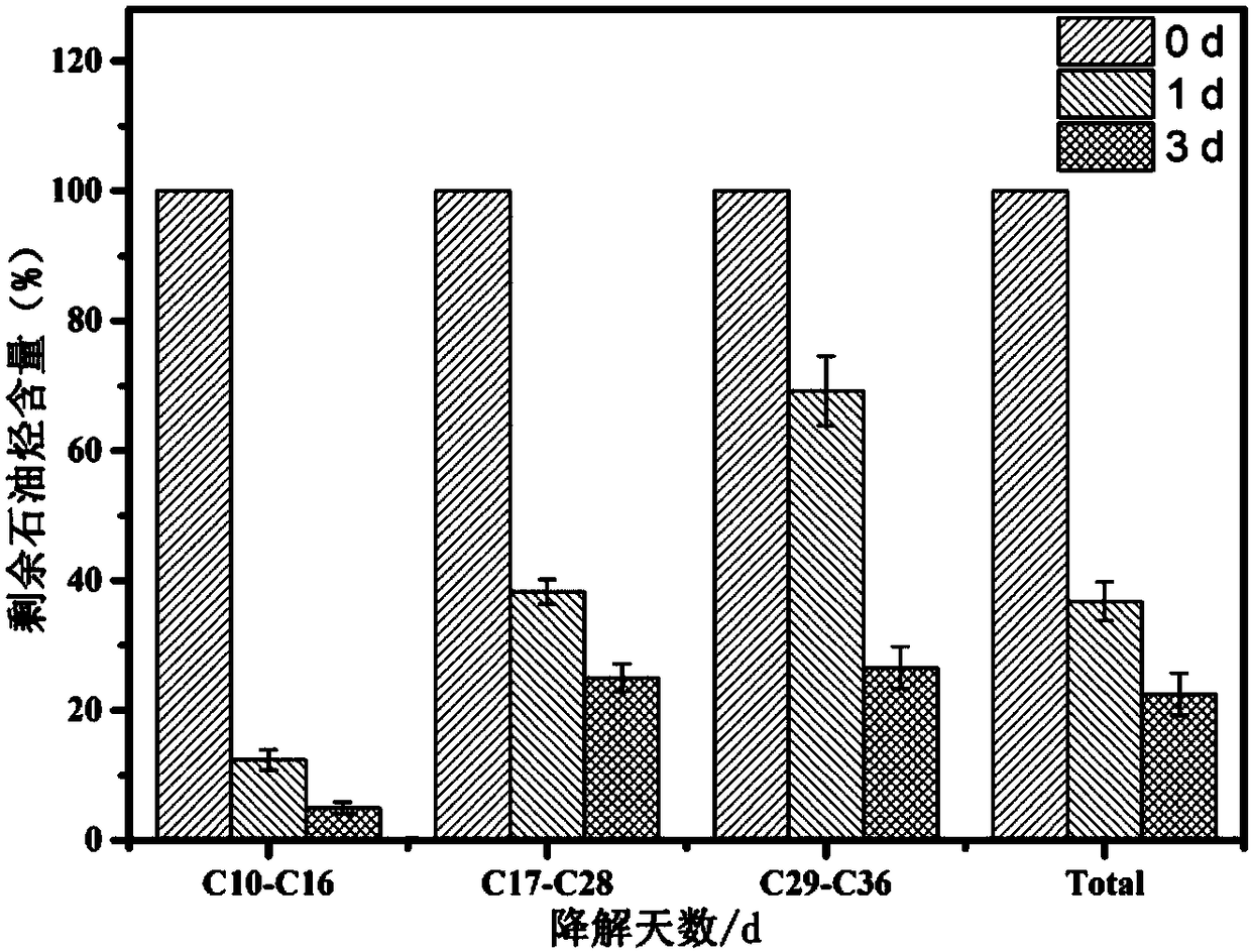 Petroleum degrading bacterium, obtaining method and application thereof in crude oil degradation